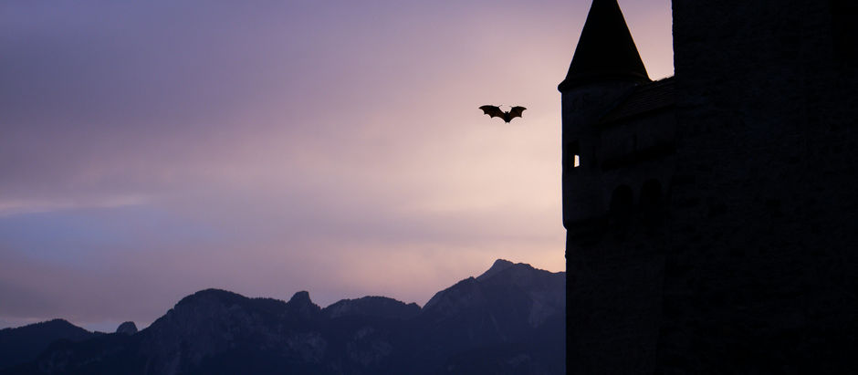 O vampiro de Curitiba de Dalton Trevisan