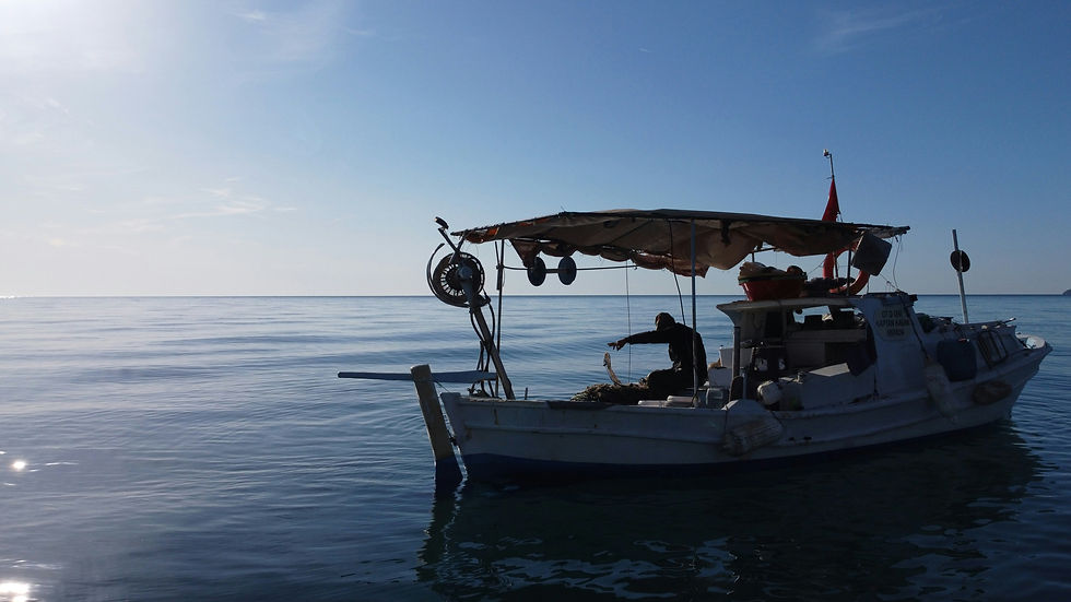 Advanced Sea Fishing