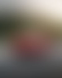 be envious of, jealous of