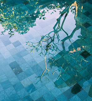 Image by AnimGraph Lab