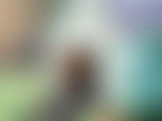 "An Off-Leash Chicken Park Per Town": Backyard-Chickens Lobby Hatching Plans For New Tecumseth