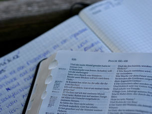 Rokasgrāmata kompensāciju piešķiršanai seksuālo noziegumu upuriem