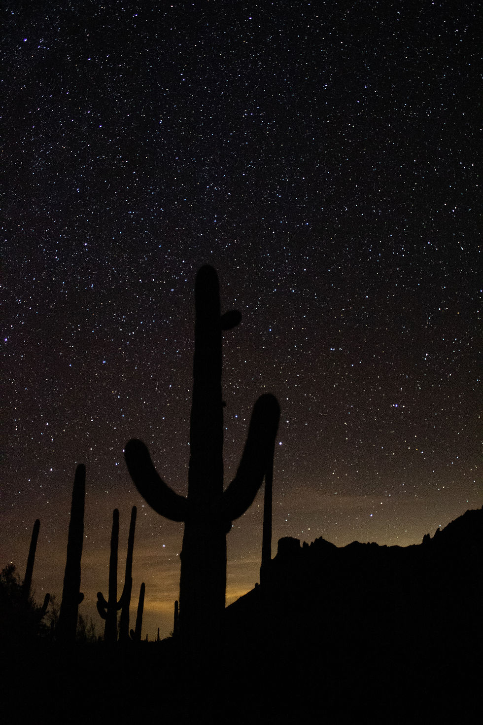 Milky Way and stars above the Arizona desert at night.