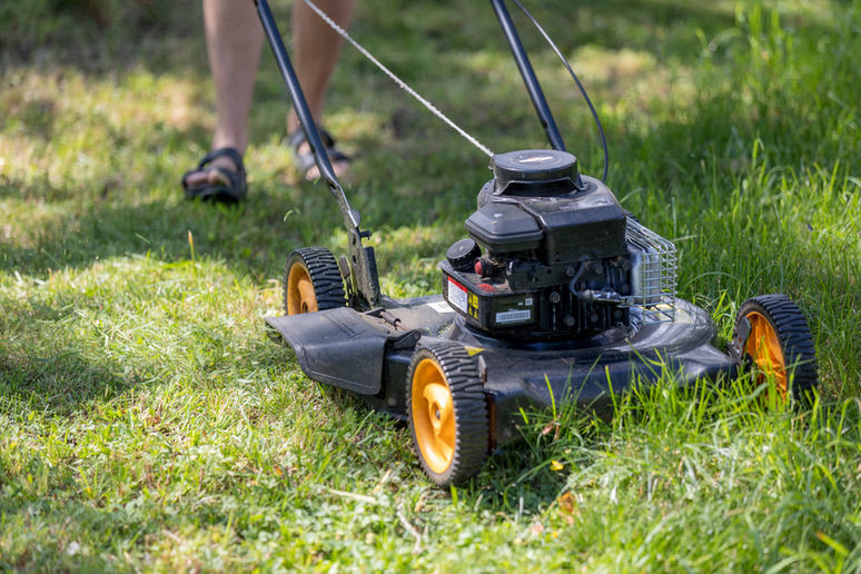 lawn care canyon lake