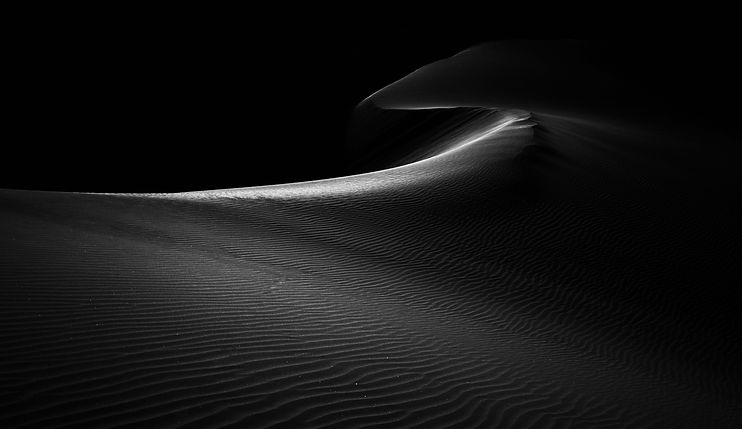 Image by Marjan Taghipour