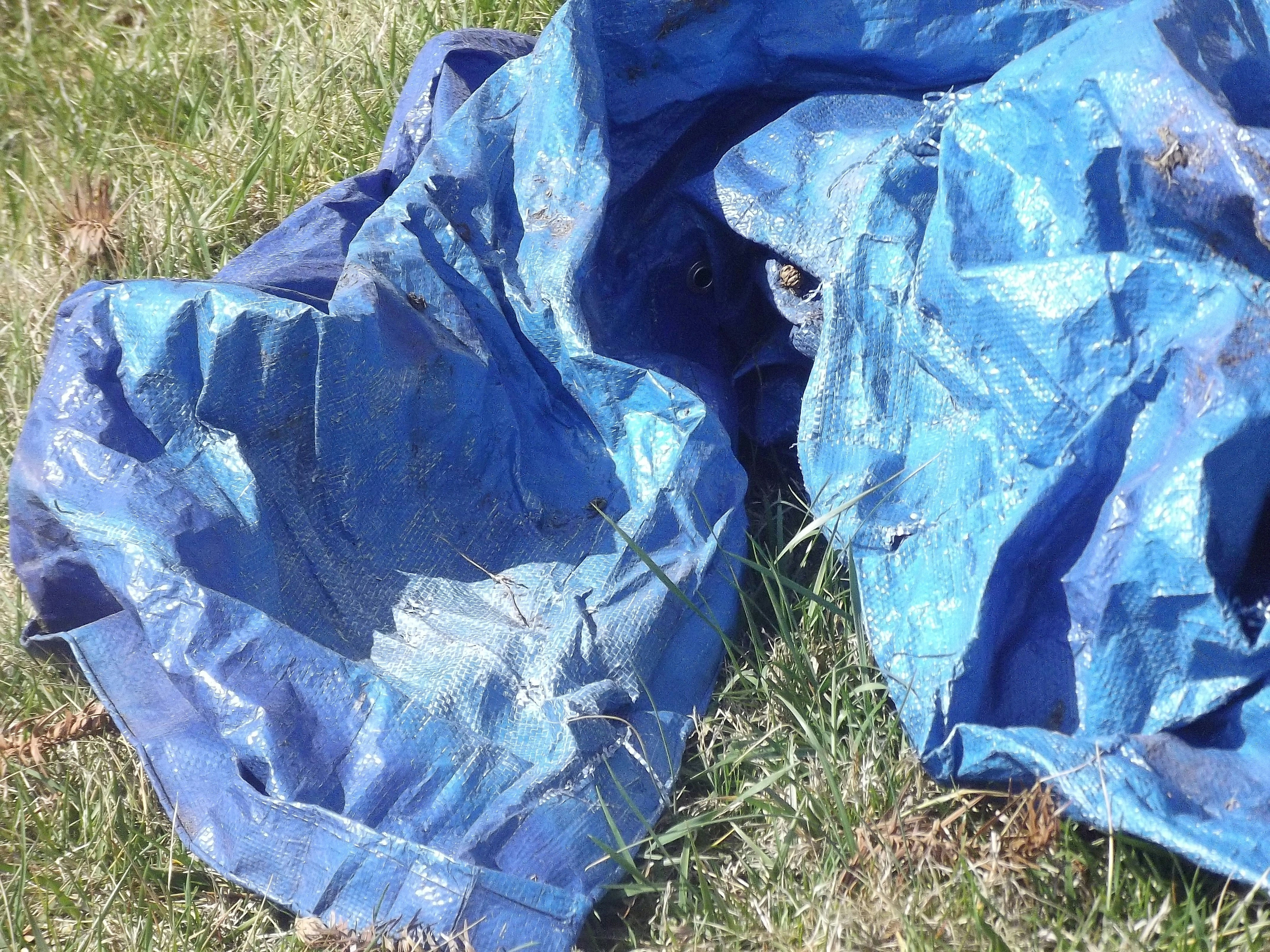 Tarp Sheet