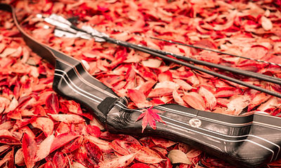 Bow Photo