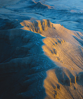 Image de Harrison Steen