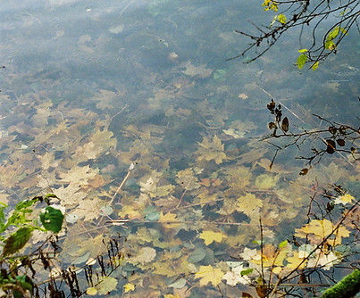 Image by Nadzeya Matskevich