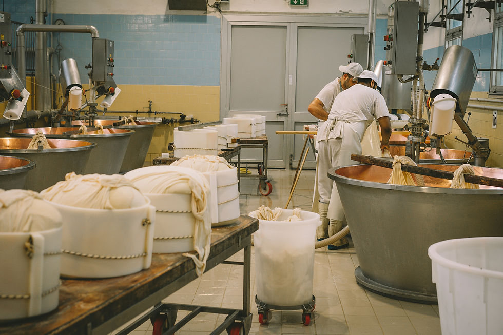 Artisan Cheese Makers