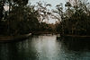 Image by Cody Board