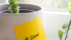 How to Scale Renewal Revenue (Without Scaling Headcount Too)