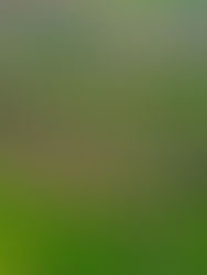 Tekirdağ Saray İlçesi: Yatırım İçin Yükselen Değer