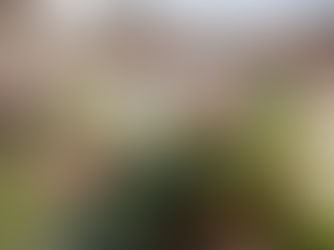 Rutgers Offers Online Garden Education Series Beginning February 9th