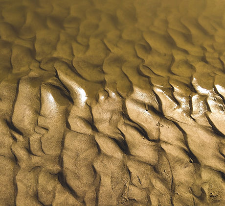 SAND