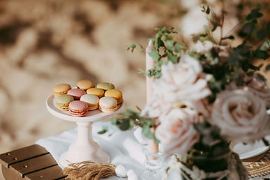 Image by Erin Palos