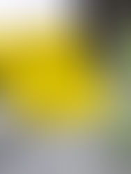 Tassazione Sempre più Elevate per le Aziende