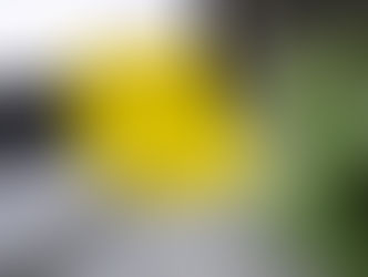 Important Tax Updates for 2026