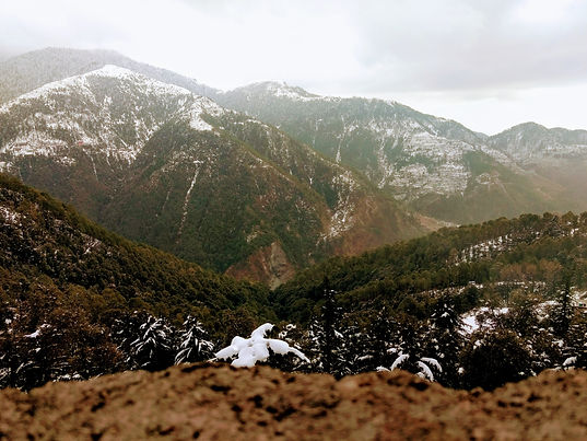 Image by Rusheel Tickoo