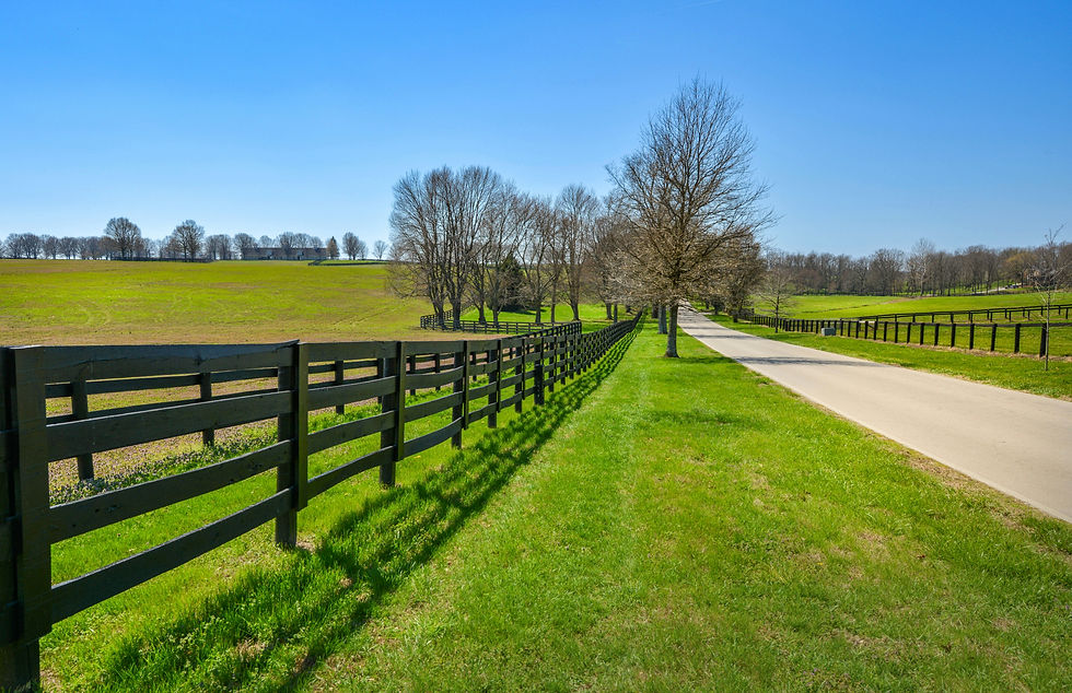 Black four-rail farm fence bordering a large pasture and roadway