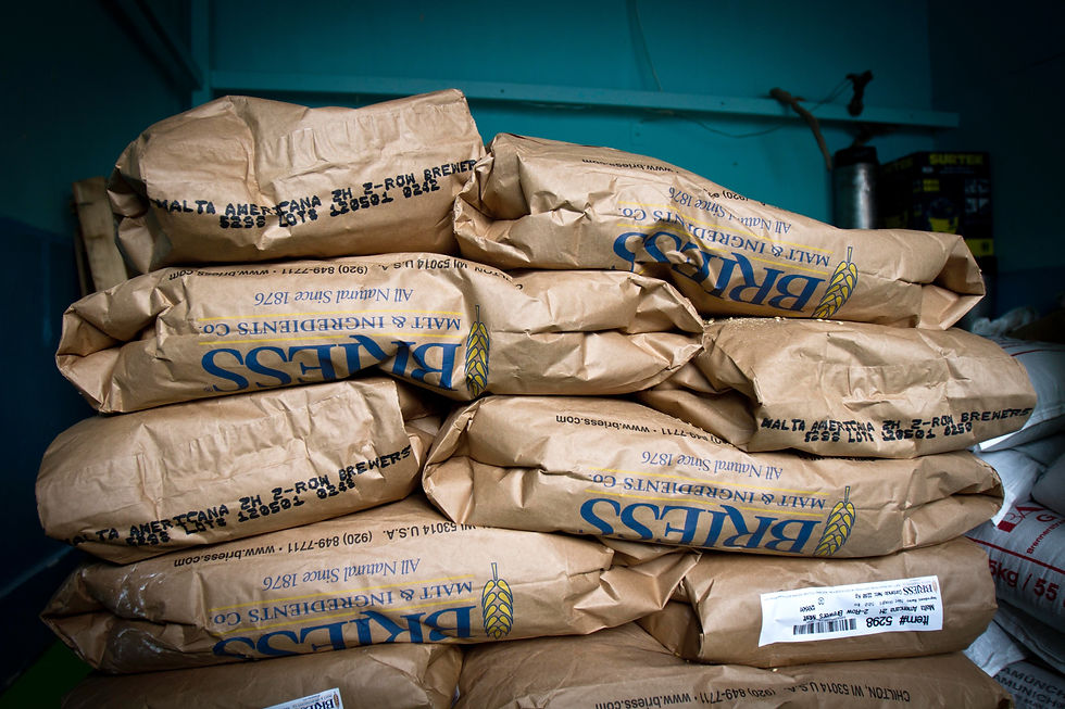 Stacked brown paper sacks of Briess malt and ingredients in a blue storage room, with printed labels and a cluttered industrial feel