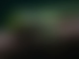 Green Tree Monitor Lizard