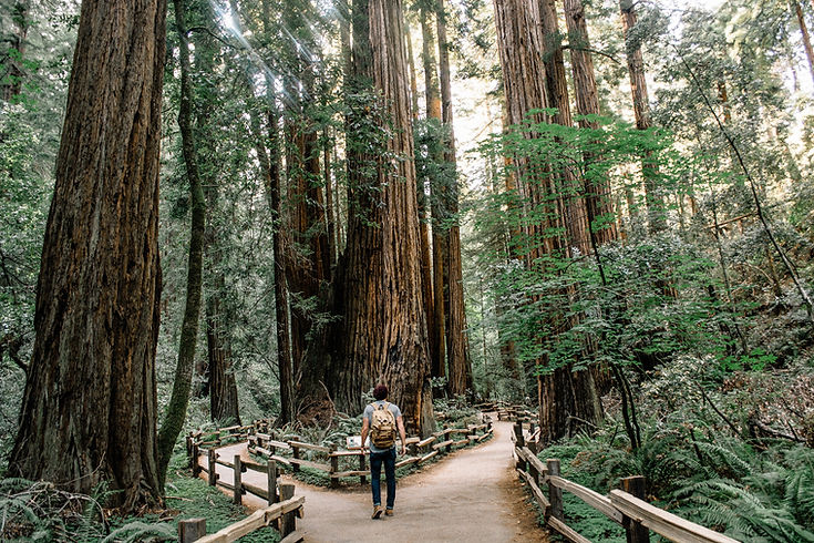 Image by Caleb Jones