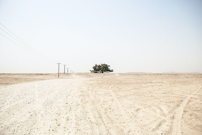 Image by Osman Rana