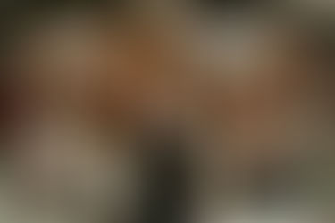 A New Entrepreneur’s Playbook