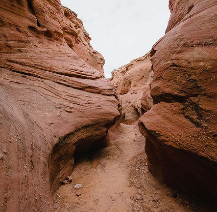 Image by Meg MacDonald
