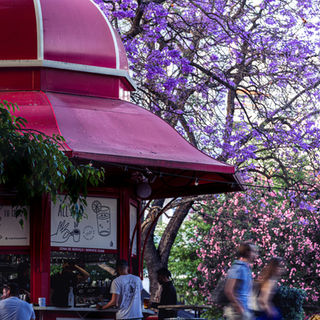 new restaurant openings in Lisbon