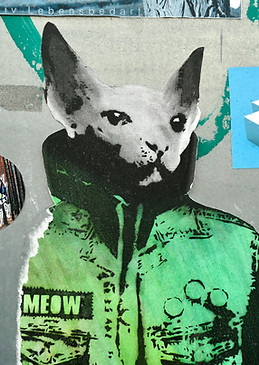 Image by Bekky Bekks