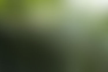 Graceful streams of water cascade over the edge at the Morton Arboretum waterfall, creating a serene and rhythmic display.