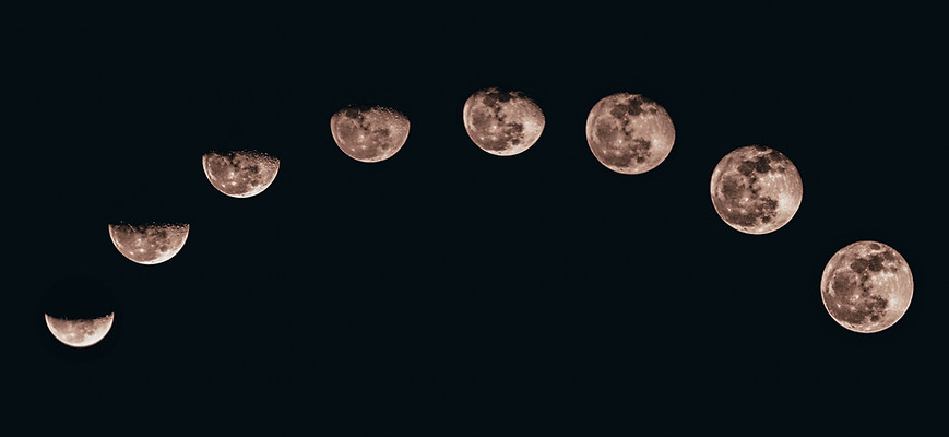 Image by Sanni Sahil