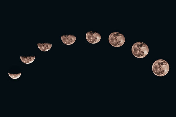Image by Sanni Sahil