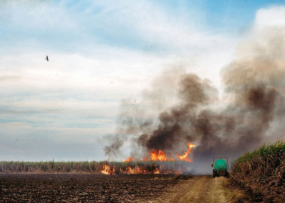 Agricultural crop burning resulting in ambient particulate matter pollution