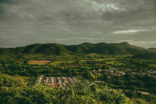 Image by Alessandro Rodriguez