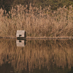 Box on the water