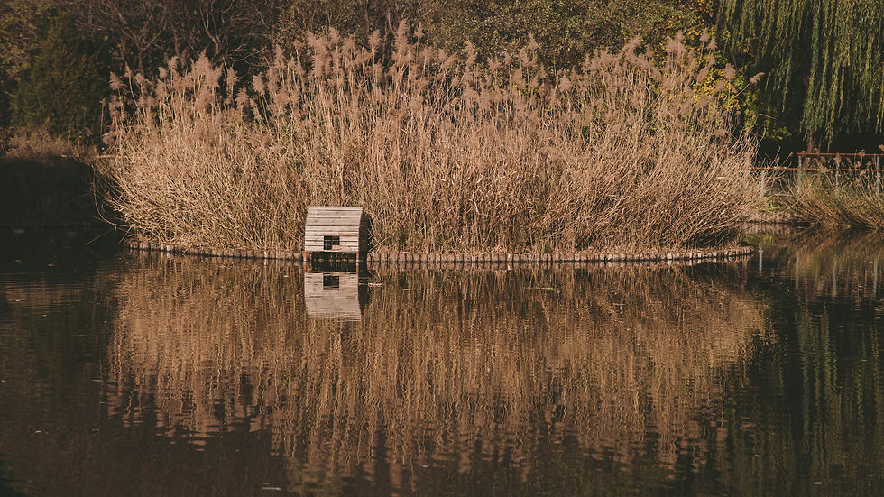 Box on the water
