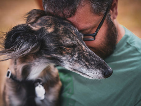 Cuidar a tu mascota también es cuidar tu salud emocional
