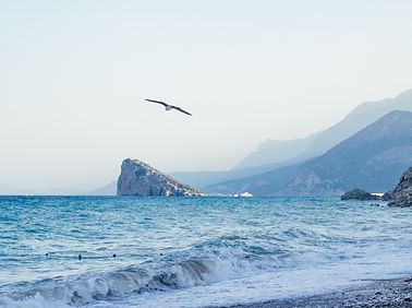 Image by Vitaliy Gavrushchenko