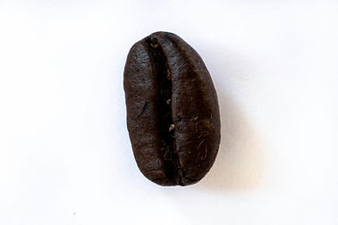Image by Gustavo Sánchez
