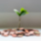 Investment