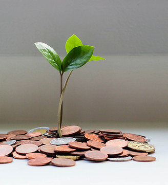 Image by Micheile Henderson