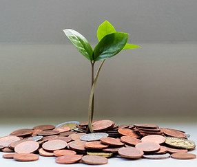 Assurance vie Finea conseils