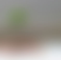 a small plant growing out of a pile of coins