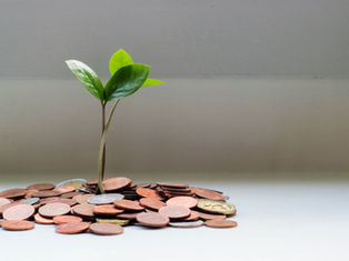 What you need to do to perpetually grow your business