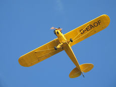 🏆 Aviation Sports: Where the Sky Becomes the Playground