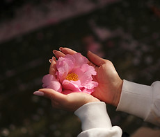 Image de Dmitry Spravko