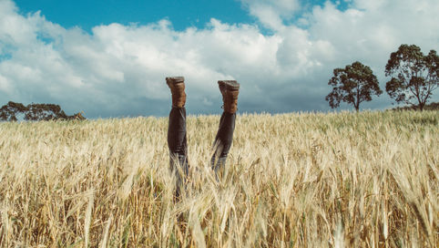 Why Should Farmers Lead Their Own Biodiversity Monitoring?